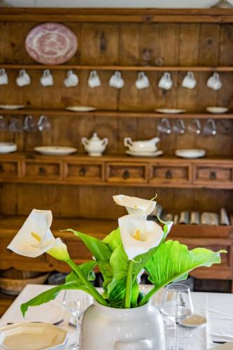 LA CASUCA DE ABANILLAS LA CASUCA DE ABANILLAS