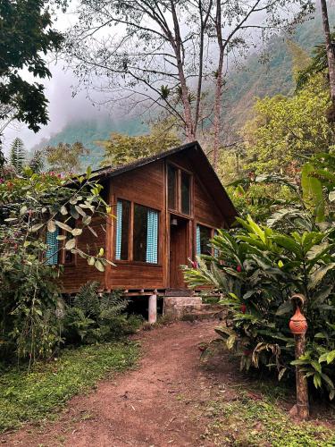 المنظر الخارجي, Hotel El Abrazo del Arbol in Mindo