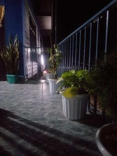 Kilátás, The Black Conch, Homestay  in Kalimpong