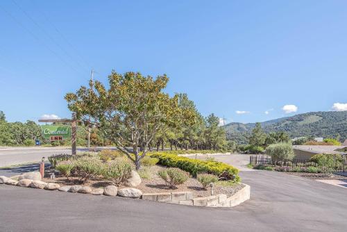 Contenta Inn - image 3
