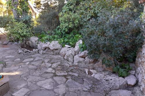 Apartments by the sea Mudri Dolac Hvar - 4042 - image 5