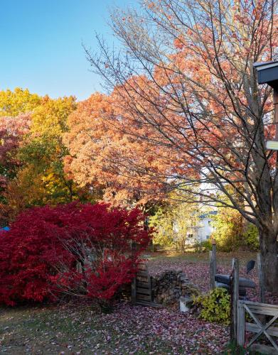 Air Vermont Apartment in South Burlington, USA