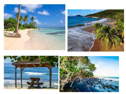 กิจกรรม, L'Escapade Antillaise, T2 calme, proche de tout, jardin in แบ มาโอล