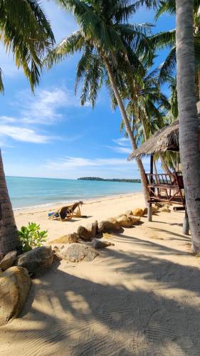 Castaway Beach Bungalows 3