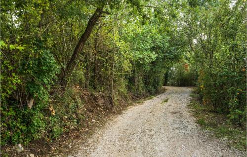 Lorenzo - main image