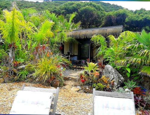 Fantasy Island - private seaview cabins in Great Barrier Island