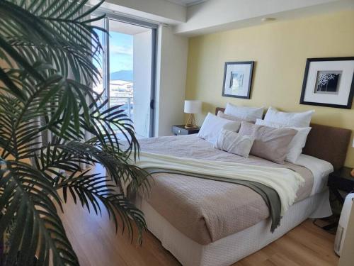 Studio room in Cairns Esplanade! Ocean view! Heart of Cairns, Cairns (fotografie 5)