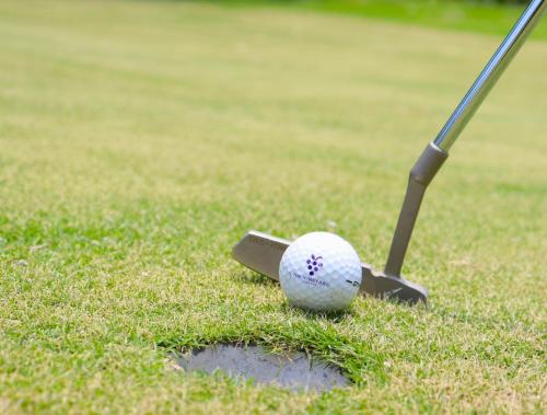 The Vineyard at Tanauan The Vineyard at Tanauan