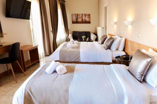 Anesis Hotel in 코자니아 