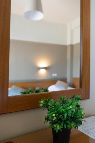 Anesis Hotel - image 11