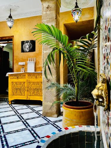 Casa Indigo 1