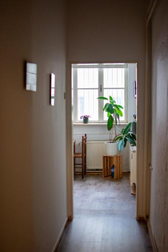 Hostel Moravia Ostrava in Ostrava