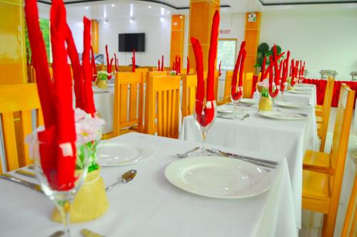 Cherry's CourtYard near Palawan Wildlife Rescue and Conservation Center