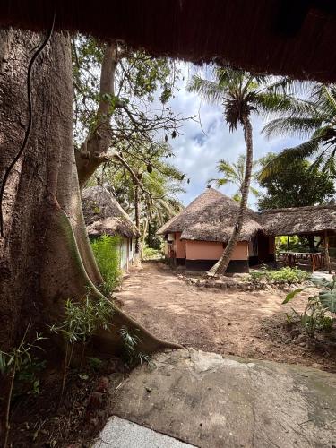 Omgeving, Fromagerlodge in Cap Skirring