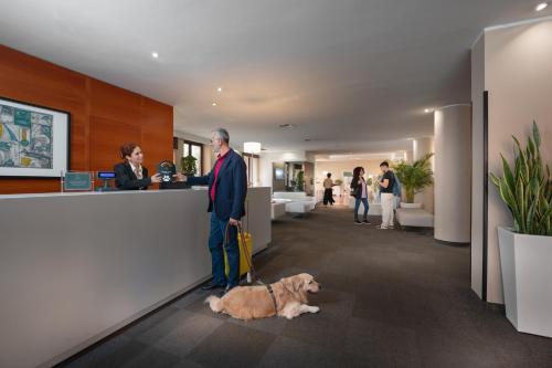 Smy Area Roma - image 4