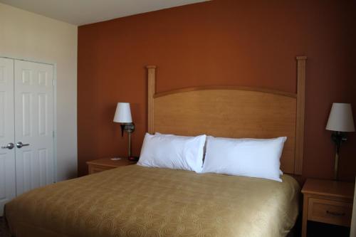 1 king bed, 2 queen beds, 1 sofa bed