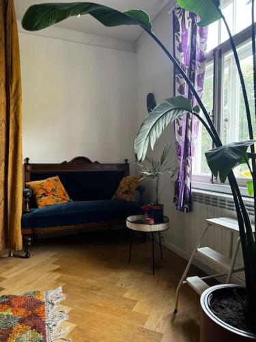 Cozy apartment in Tallinn, Tallinn (photo 6)
