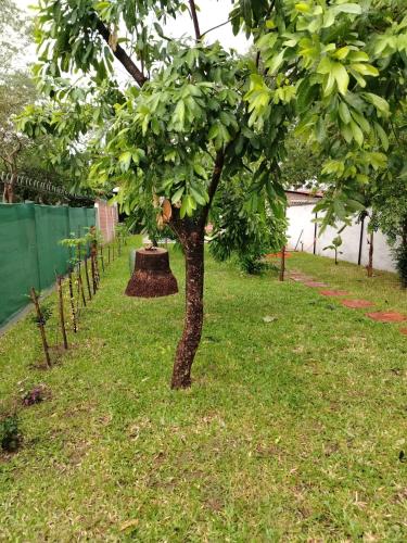 花園, Casa San Bernardino Paraguay in 聖伯納迪諾