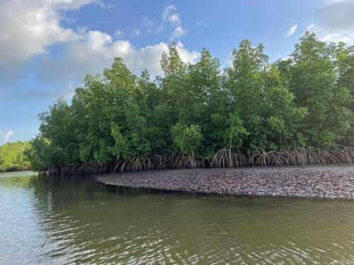 Omgeving, Maison de campagne à Sipo (Maison de campagne a Sipo) in Toubakouta