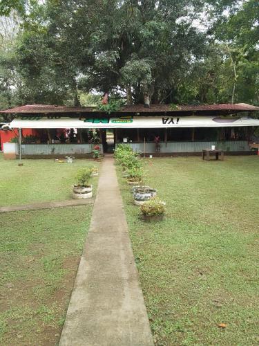 View, Waterfall Hostel in David