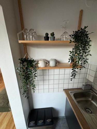 Private Unterkunft im Herzen Hannovers, Hannover (Foto 9)