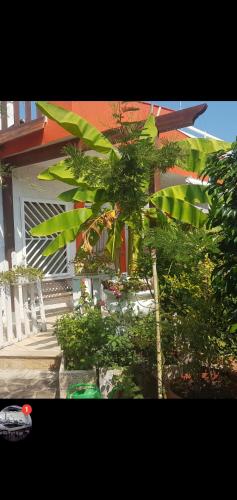 Catullo Bags&Beach gîte à louer Cozze