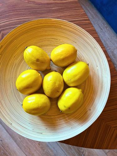 Wygodny apartament przy Uniwersytecie