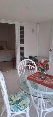 Lux Rentals in Oistins