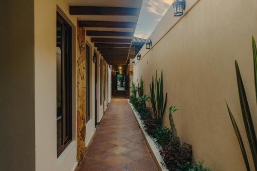 Casa 1910, Zacatlán (fotografie 6)
