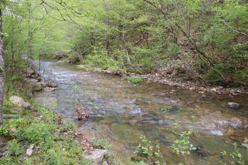 132 Catherine Park #3 Red cabin Romantic Cabin By the Creek in Hot Springs, USA