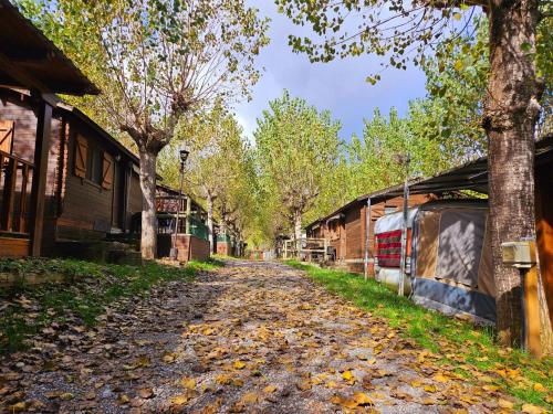Camping Ribera del Ara - image 2