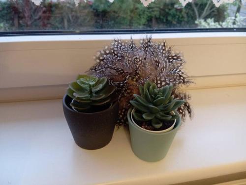 Wohnung im Grünen in Messenähe Wohnung im Grünen in Messenähe