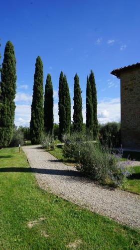 Mormoraia - Accommodation - San Gimignano