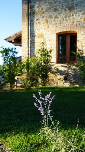 Mormoraia - Accommodation - San Gimignano