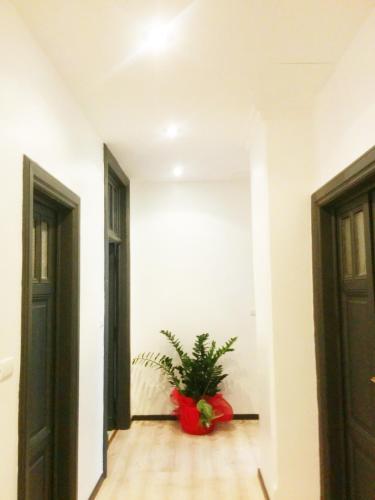 Ad Hoc Guest House - image 12