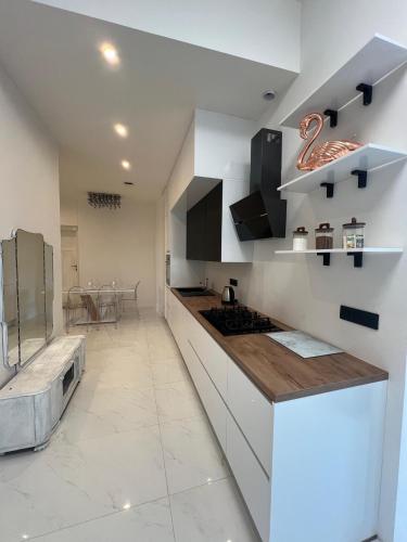 Wenceslas square apartment 150 m2 3