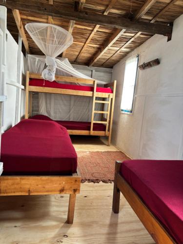 1 twin bed