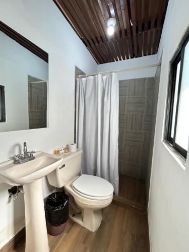 Standard image 8