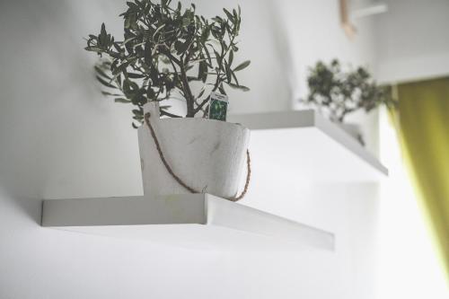 Bio Hotel Palermo, Palermo (Foto 8)