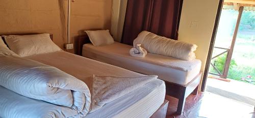 Bardiya Eco Safary Homestay in Thakudwara