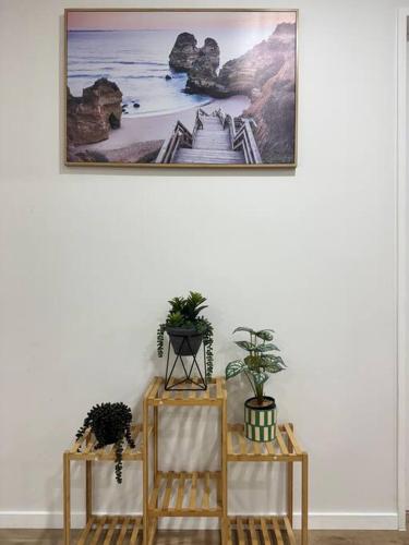 Stunning 3 bd - 2 bth city apt - Pool & Carpark