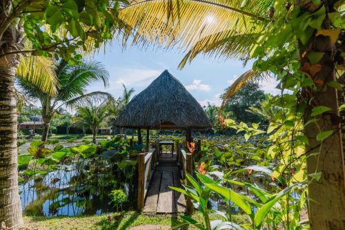 Dintorni, Casa di 45 m² con 2 camera(e) e 2 bagno(i) privato(i) in zona Hòa Thắng (Xom Sinh Homestay & Farmstay Buon Ma Thuot Dak Lak) in Hòa Thắng