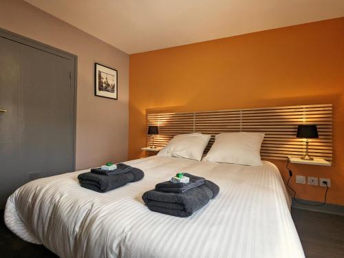 Logement au cœur du Puy-en-Velay avec parking et WIFI - FR-1-582-519 chambre d'hôte Espaly-Saint-Marcel