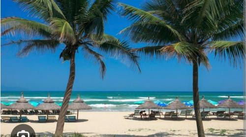 NNP Apartment Beach.
