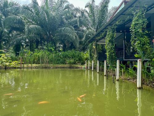 Surrounding environment, Baan Panmala Guesthouse - Ao Luek, Krabi in Ao Luek