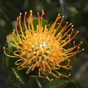 Erika27 Top B&B Choice Erika27 Top B&B Choice