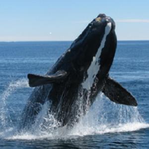 Erika27 Top B&B Choice Erika27 Top B&B Choice