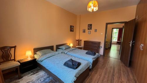 Quiet 2 bedrooms downtown apart, Sofia