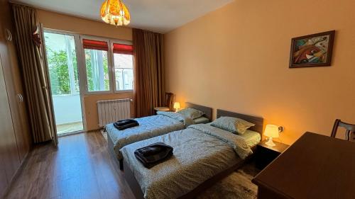 Quiet 2 bedrooms downtown apart 2