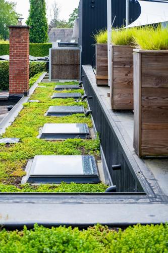 B&B Herenhuis - image 7